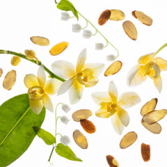 Vanilla orchid flowers with sliced almonds lily of the valley and green leaves representing the Vanilla Velvet scent notes