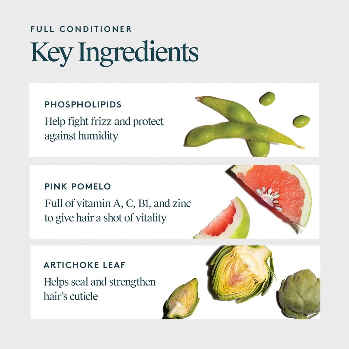 Full Conditioner key ingredients phospholipids pink pomelo and artichoke leaf for frizz control and stronger hair