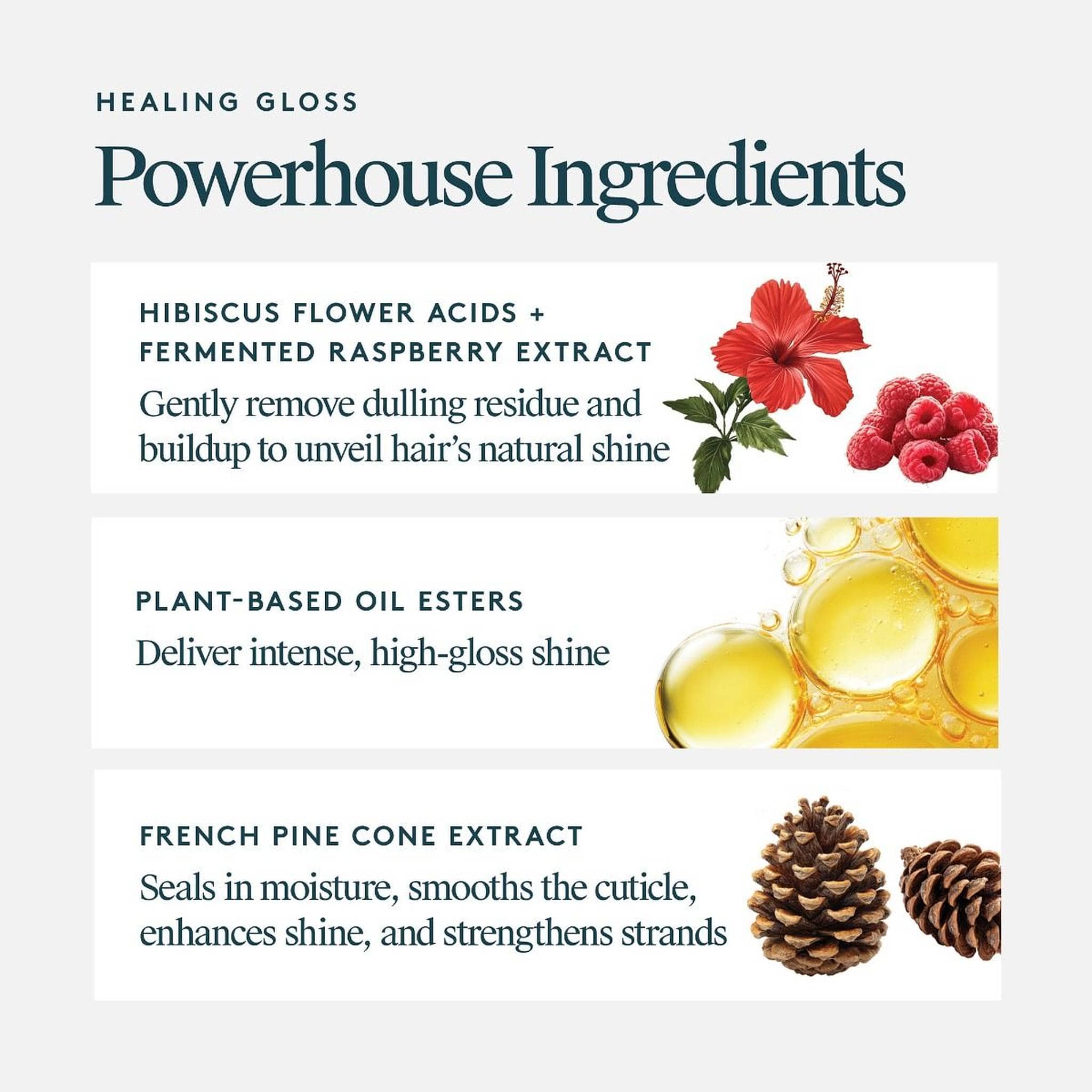 VIRTUE Healing Gloss ingredients hibiscus acids raspberry extract oil esters and pine cone extract