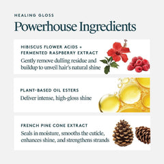 VIRTUE Healing Gloss ingredients hibiscus acids raspberry extract oil esters and pine cone extract