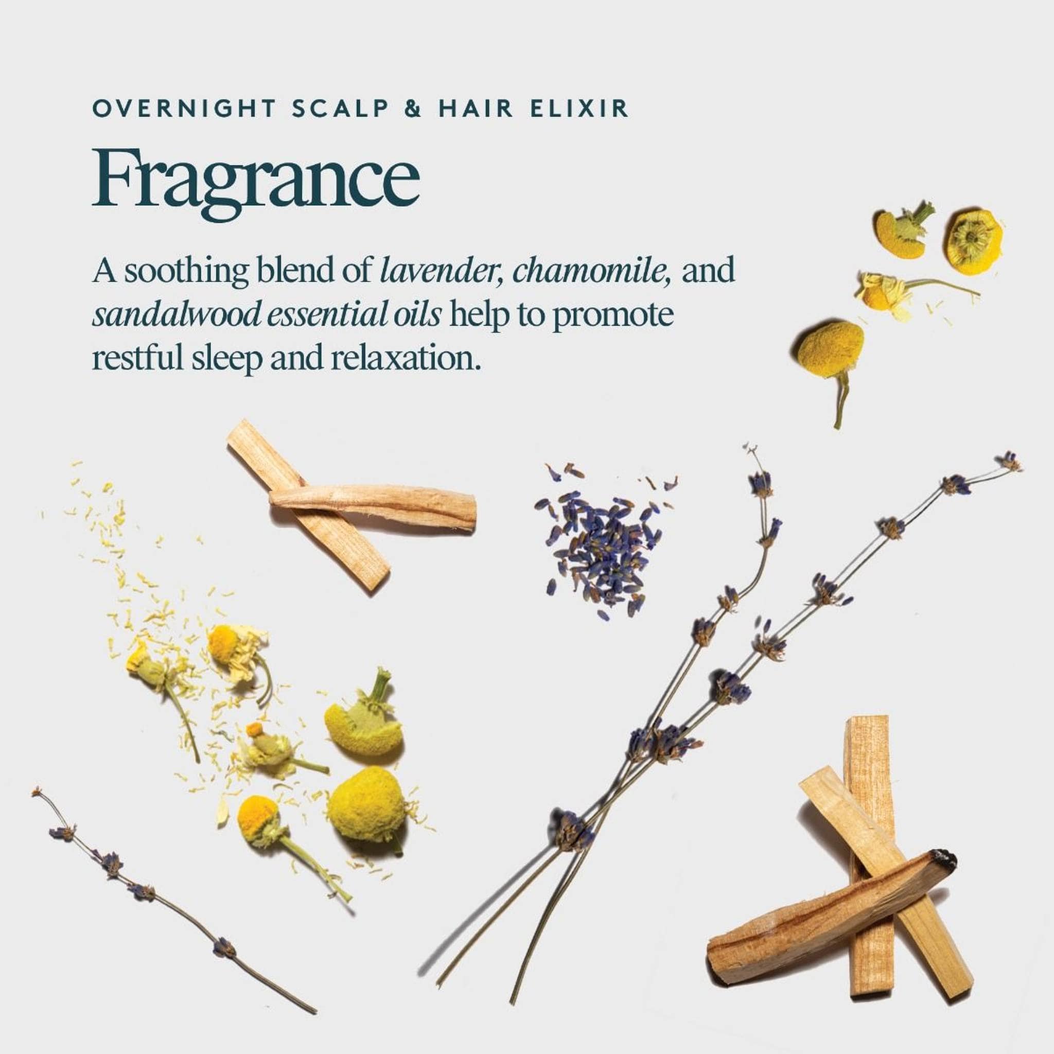 Dried lavender chamomile flowers and sandalwood sticks behind the calming scent of the overnight hair elixir