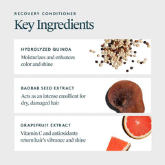 Recovery Conditioner key ingredients hydrolyzed quinoa baobab seed extract and grapefruit extract