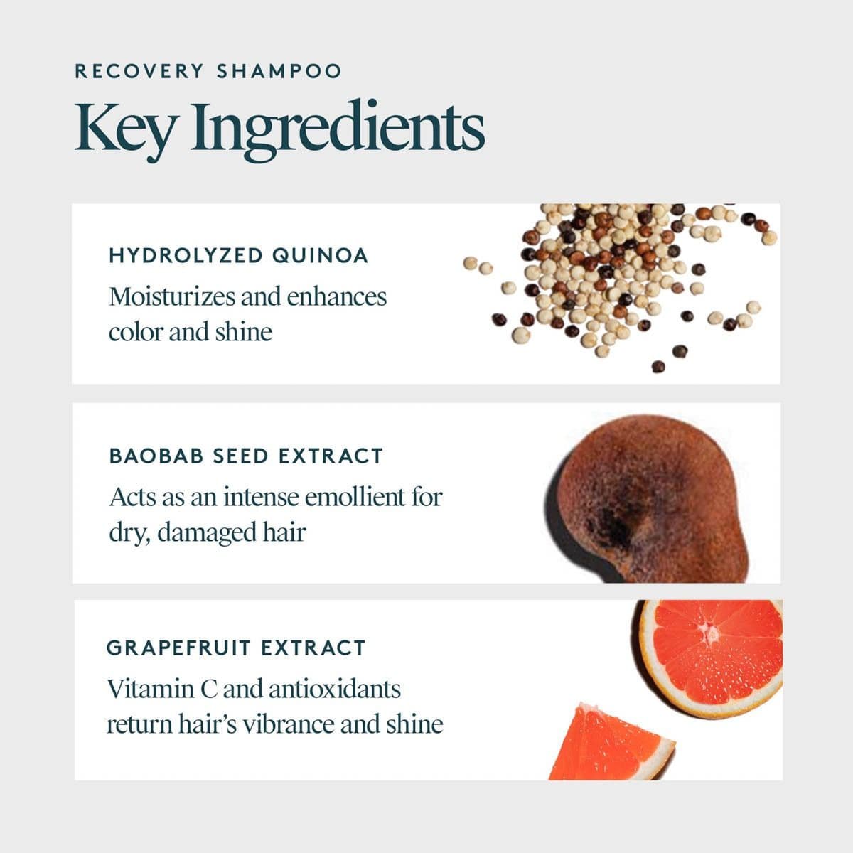 Recovery Shampoo key ingredients hydrolyzed quinoa baobab seed and grapefruit extract for shine and moisture