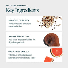 Recovery Shampoo key ingredients hydrolyzed quinoa baobab seed and grapefruit extract for shine and moisture