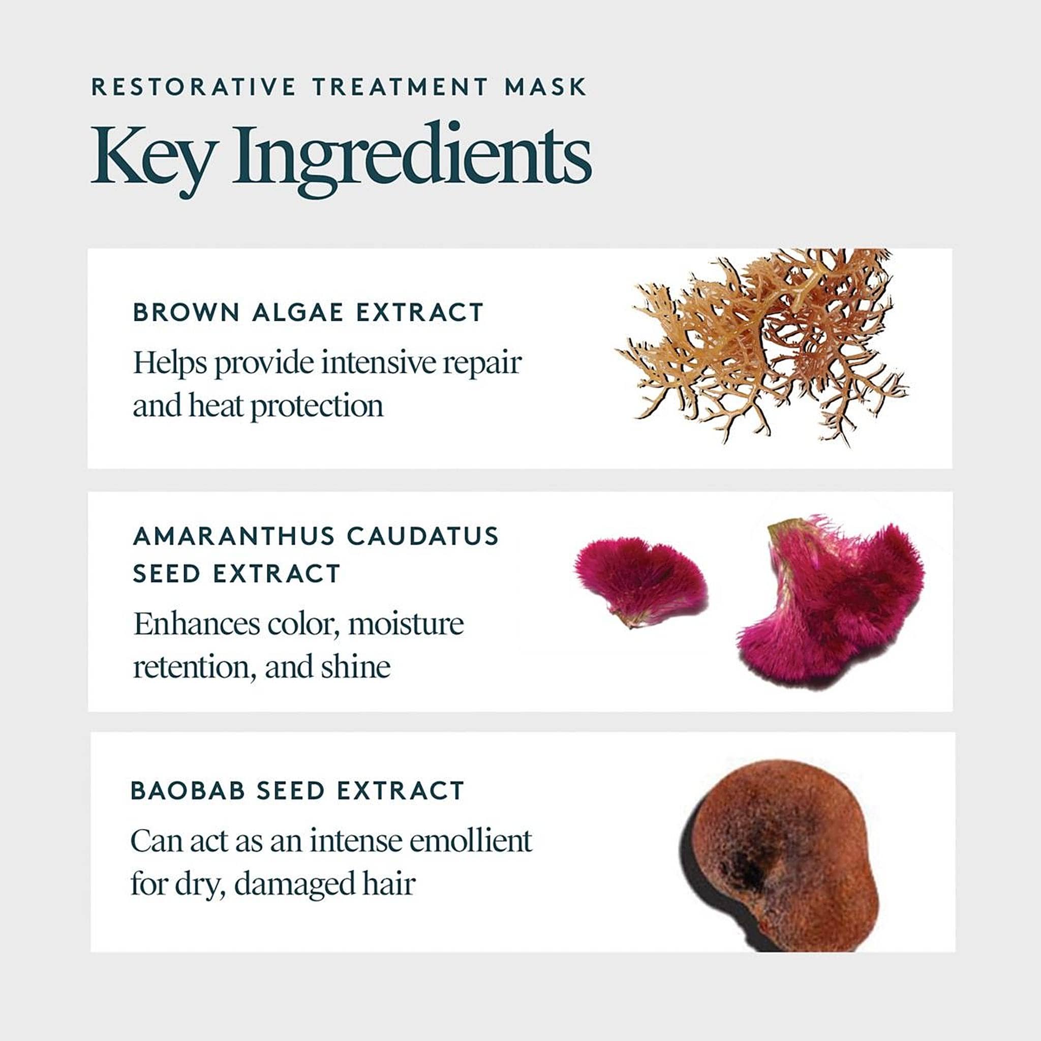 Virtue Restorative Treatment Mask key ingredients brown algae amaranthus and baobab seed extract