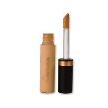 Bild in Galerie-Viewer laden, Osmosis Beauty Flawless Concealer Osmosis Beauty Dusk Shop at Exclusive Beauty Club
