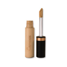 Bild in Galerie-Viewer laden, Osmosis Beauty Flawless Concealer Osmosis Beauty Sand Shop at Exclusive Beauty Club
